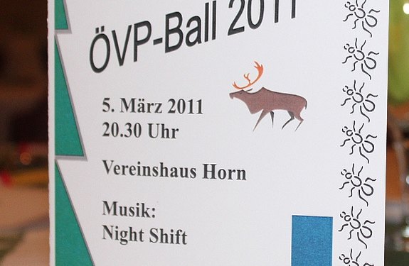 ÖVP-Ball Horn: Ein tolles Fest - die schönsten 200 Fotos zeigen es!