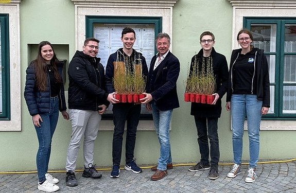 JVP setzt neue Bäumchen in Altenburg, Brunn, Burgschleinitz-Kühnring, Gars und Japons